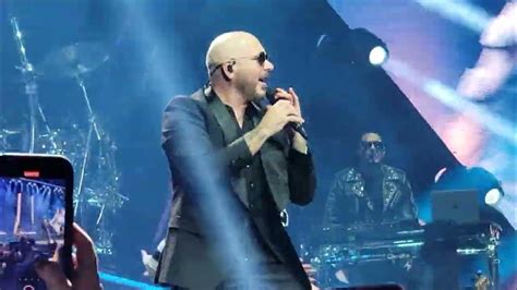 pitbull seattle