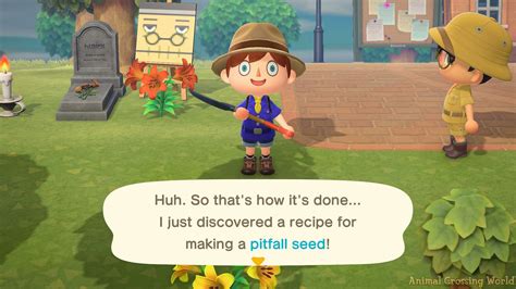 pitfall seed on animal crossing