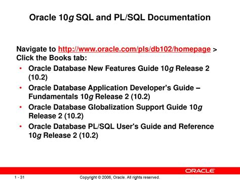 pl sql user guide and reference 10g PDF