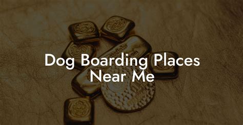 places that board dogs near me