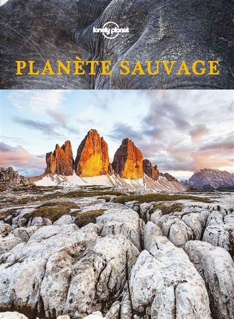 plan te sauvage lonely planet lonely PDF