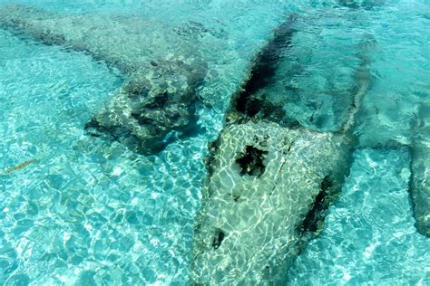 plane crash in the bahamas of cartel