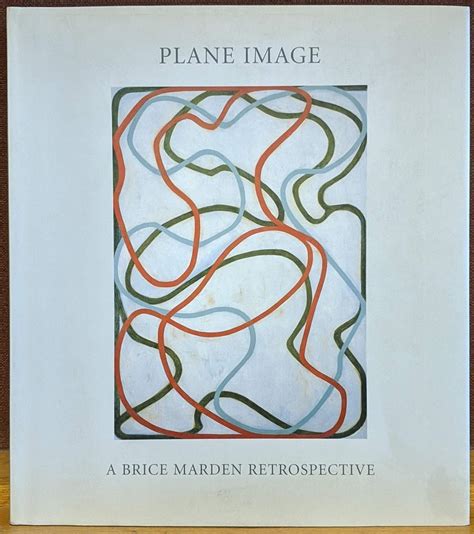 plane image a brice marden retrospective Kindle Editon