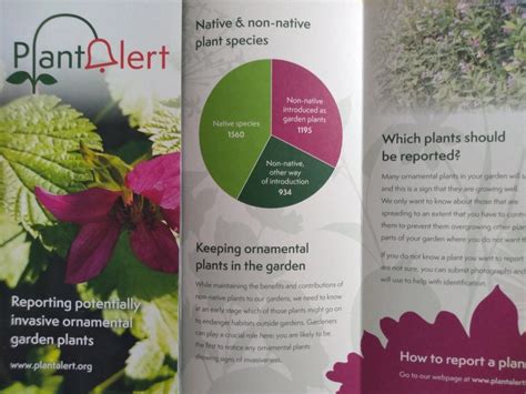 plant alert a garden guide for parents Epub