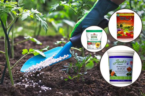 plant fertilizers