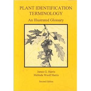 plant identification terminology an illustrated glossary Epub