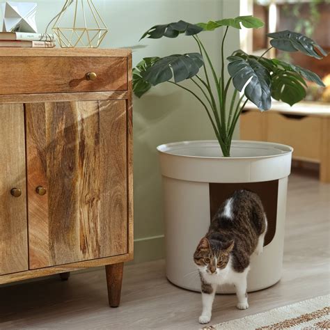 plant litter box