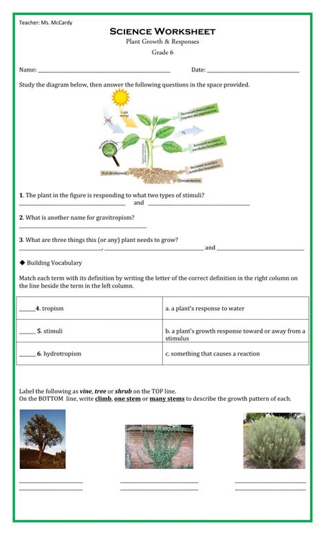 plant responses and growth pearson answer Doc