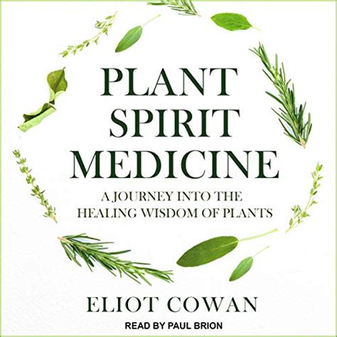 plant spirit medicine a journey into the healing wisdom of plants Reader