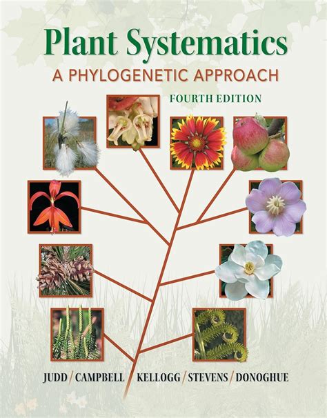 plant systematics a phylogenetic approach third edition Doc