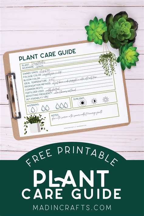 plant.luvrr: The Ultimate Guide to Plant Care and Appreciation