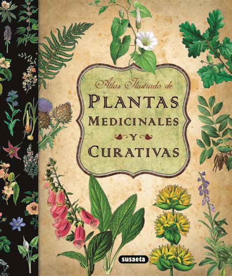 plantas medicinales y curativas atlas ilustrado Reader