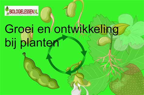 plantengroei en bloei deel 2 uitheemse planten Kindle Editon