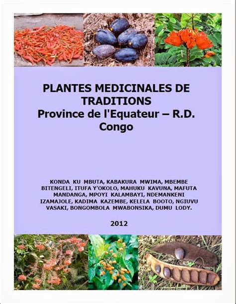 plantes medicinales traditions province lequateur Doc