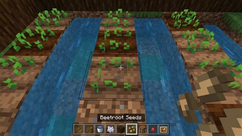 planting seeds minecraft command