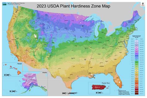 Planting Zone Chart