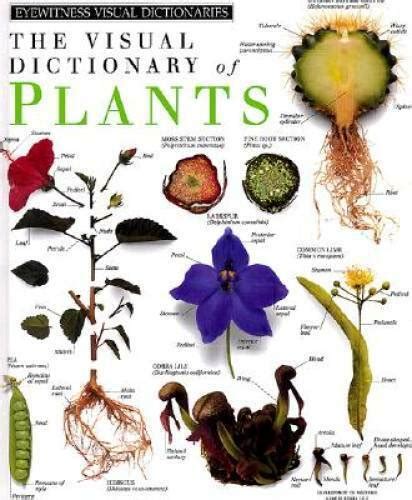 plants dk visual dictionaries Reader