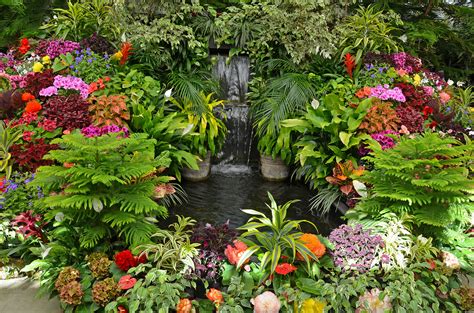 plants for tropical landscapes plants for tropical landscapes Kindle Editon