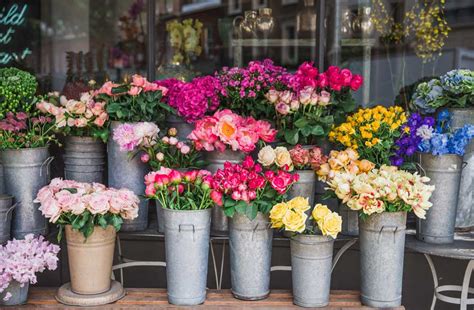 plants shop near me