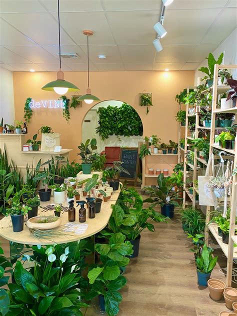 plants store near me