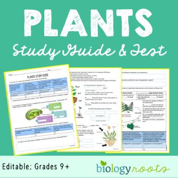 plants study guide for kids Kindle Editon
