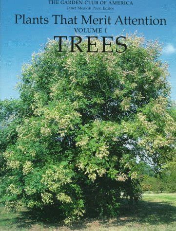 plants that merit attention trees Reader