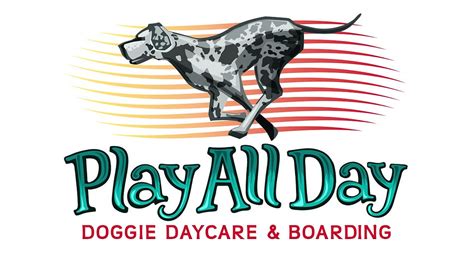 play all day doggie daycare