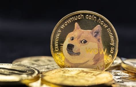 play doge price