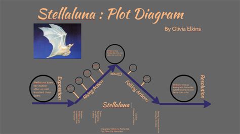 plot diagram of stellaluna Epub