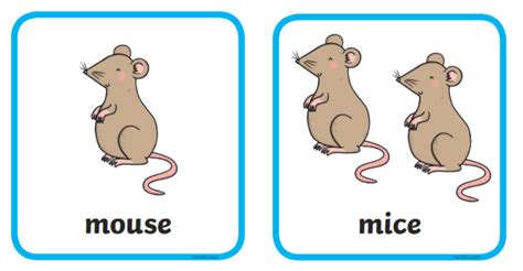 plural the mouse