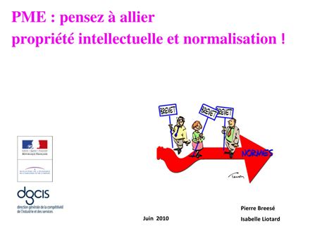 pme normalisation pratique propri t intellectuelle ebook Epub