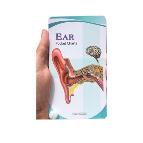 pocket guide to the ear pocket guide to the ear Kindle Editon