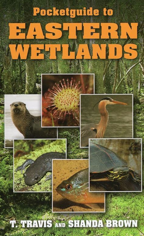 pocketguide to eastern wetlands Kindle Editon