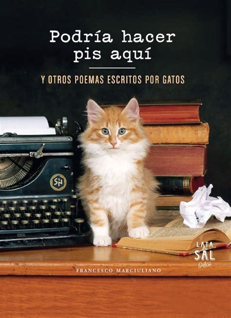 podria hacer pis aqui coleccion gatos Epub