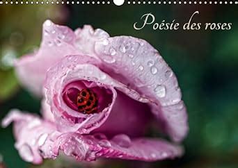 poesie roses 2016 regardons reapprendre PDF