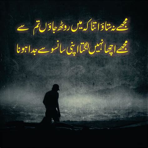 poetry shair o shairy write by urdu for sad Kindle Editon