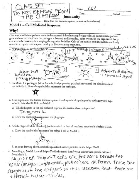 pogil activities for ap biology immunity answer key PDF