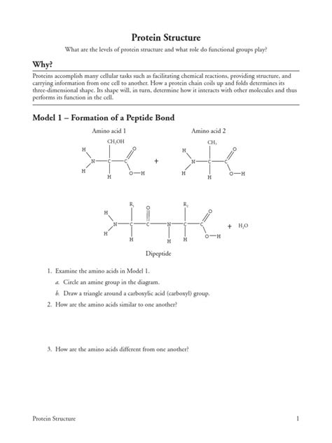 pogil activities for ap biology protein structure Epub