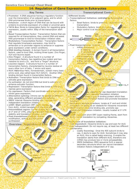 pogil activities for biology answers gene expression Reader