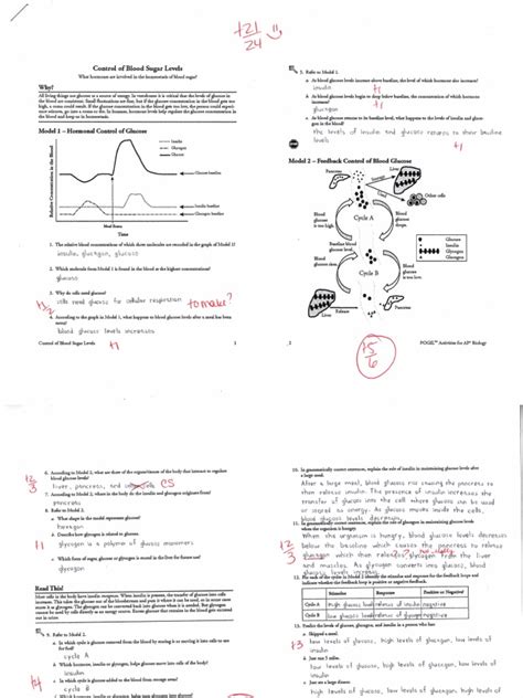 pogil answer key control of blood sugar levels Ebook Doc