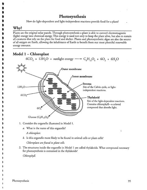 pogil-photosynthesis-answer-key Ebook Reader