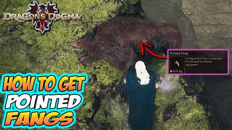 pointed fang dd2