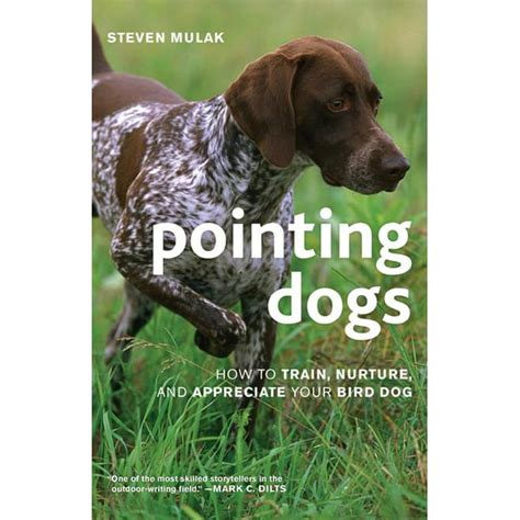 pointing dogs how to train nurture and appreciate your bird dog PDF