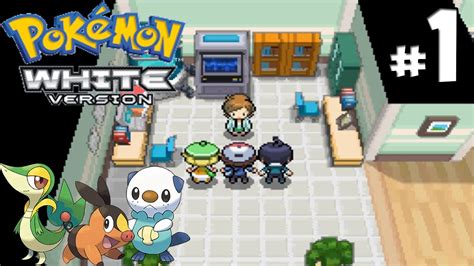 Pokemon Bw Walkthrough