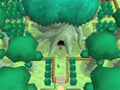 pokemon white white forest