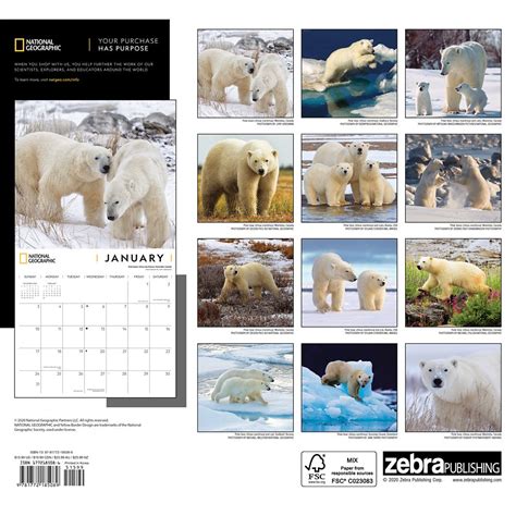 polar bears 2010 national geographic wall calendar PDF