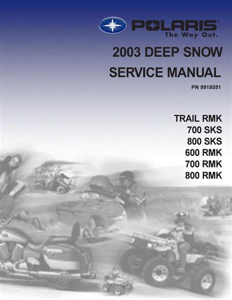 polaris 700 rmk repair manual Kindle Editon