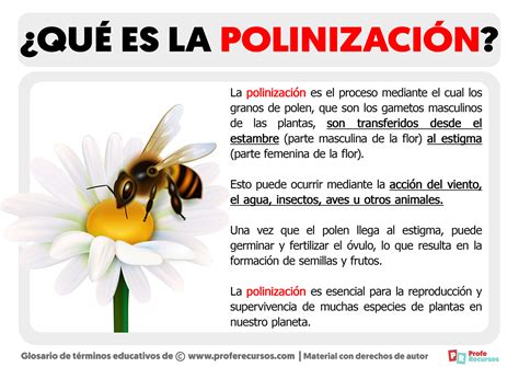 polinizar 80% das plantas