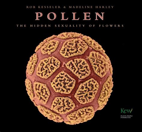 pollen the hidden sexuality of flowers PDF