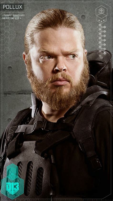 pollux the hunger games